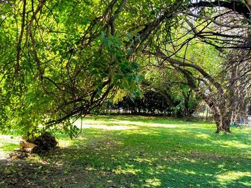 place photo 24