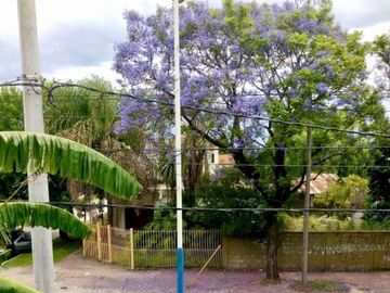 place photo 18