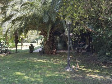 place photo 79