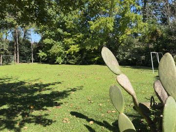 place photo 84