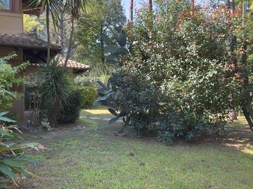 place photo 56
