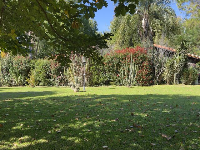 place photo 81