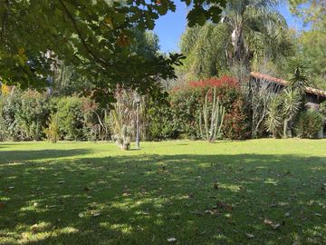 place photo 81