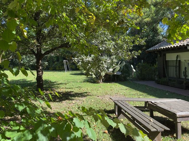 place photo 85