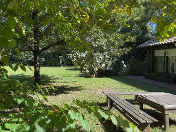 place photo 85