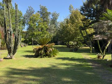place photo 92