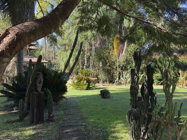 place photo 59