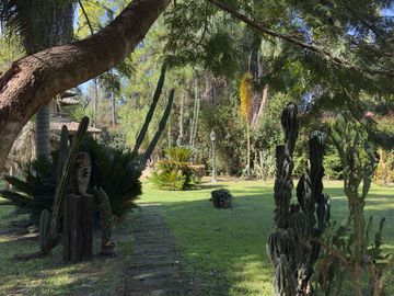 place photo 59