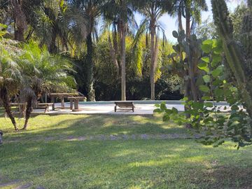 place photo 62