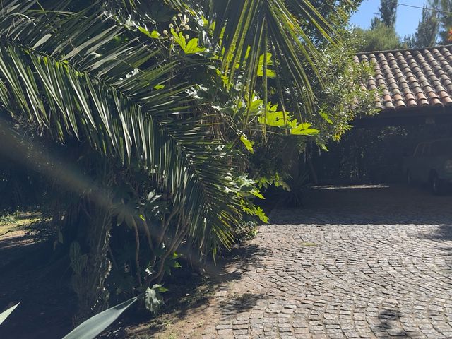 place photo 58