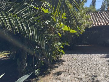 place photo 58