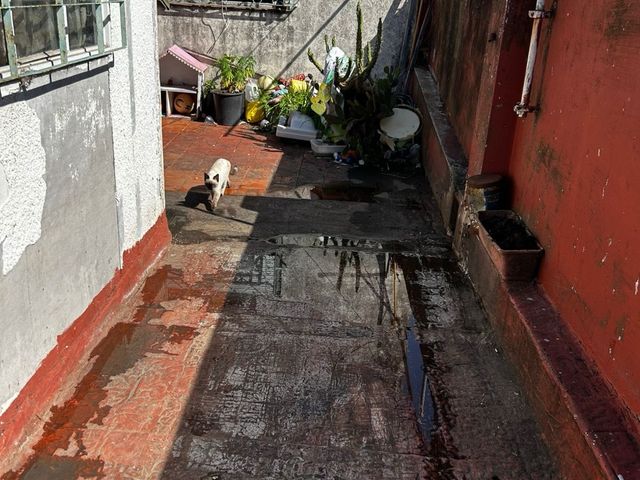 place photo 36