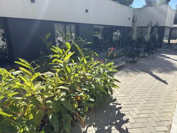 place photo 22