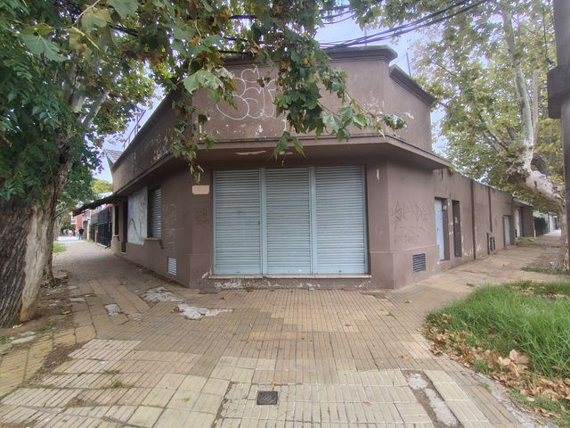 place photo 17