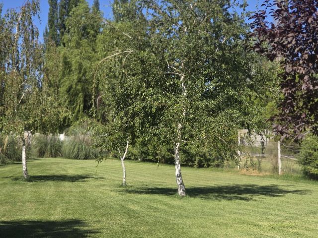 place photo 80
