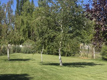 place photo 80