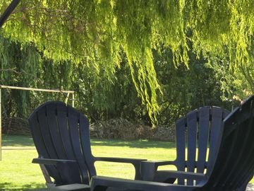 place photo 89