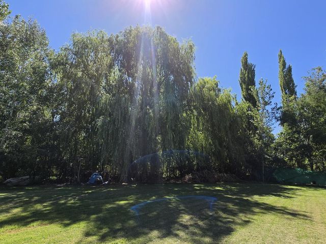 place photo 92