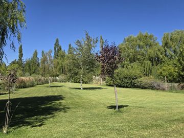 place photo 79