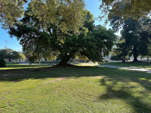 place photo 55