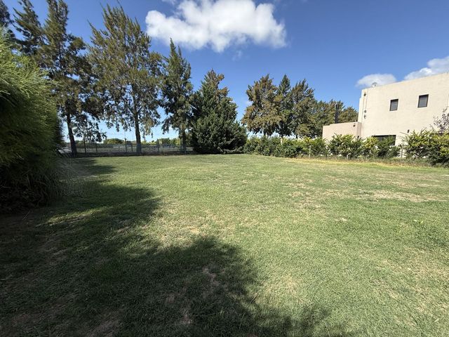 place photo 38