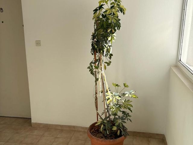place photo 34