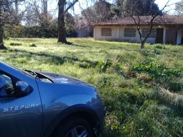 place photo 14