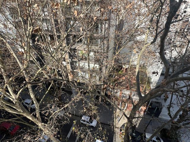place photo 58