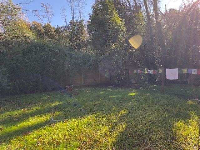 place photo 27