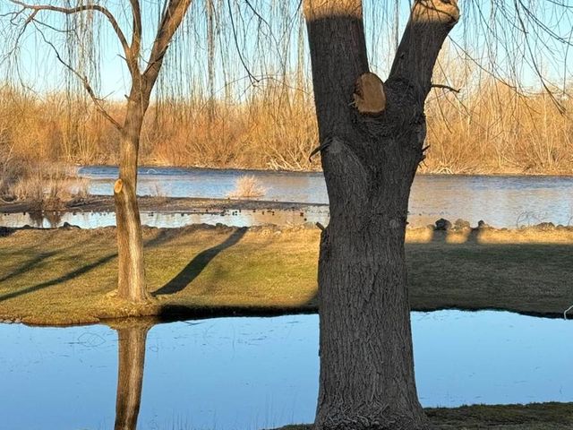 place photo 40