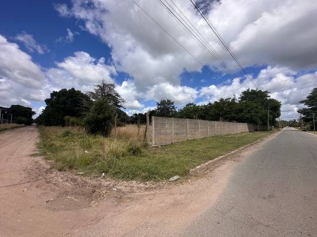 place photo 37