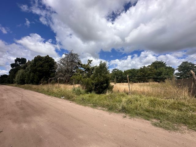 place photo 36
