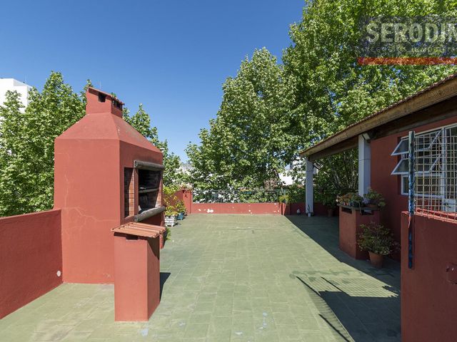 place photo 30