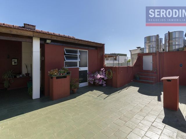 place photo 37