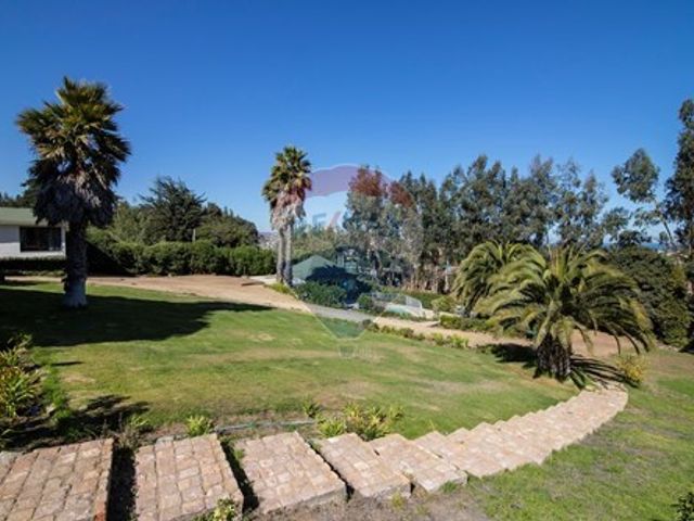 place photo 44