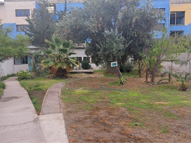 place photo 12