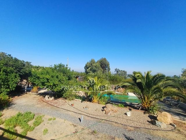 place photo 45