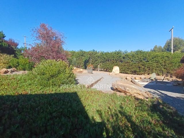 place photo 38
