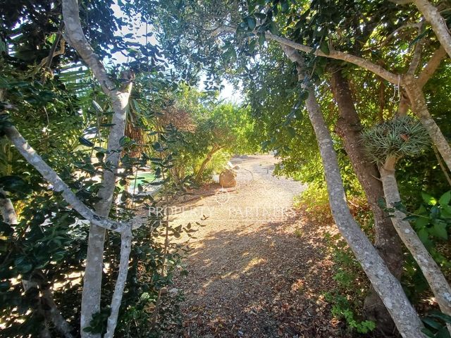 place photo 39