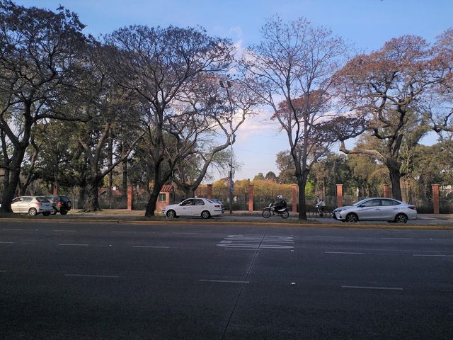 place photo 40