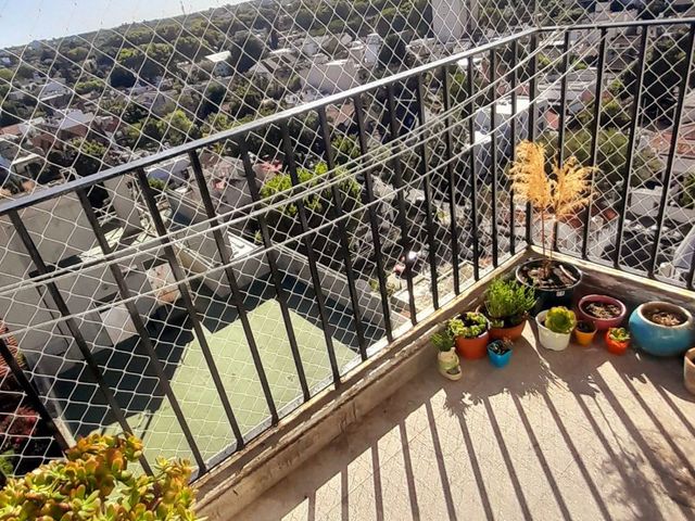 place photo 19