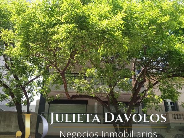 place photo 43