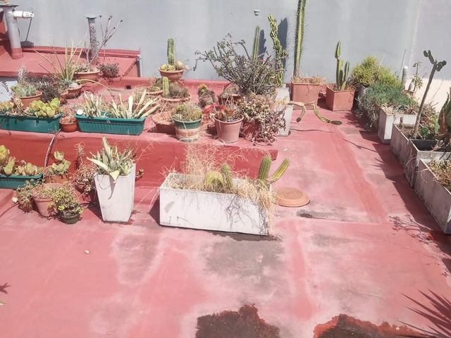 place photo 37