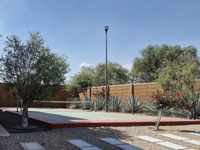 place photo 14