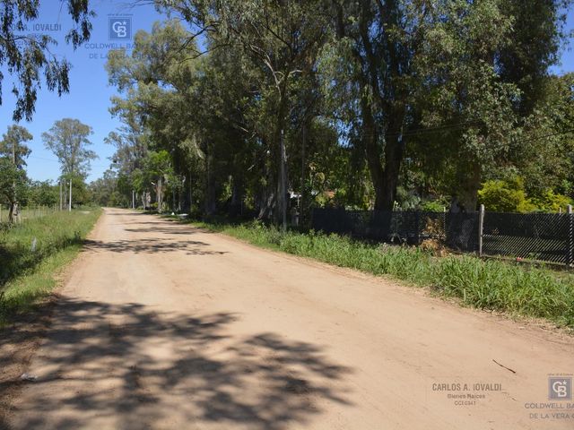 place photo 16