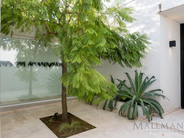 place photo 65