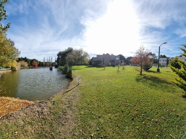 place photo 42