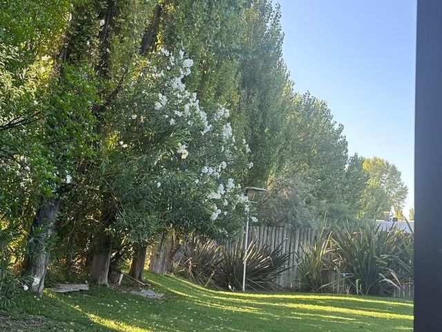 place photo 48