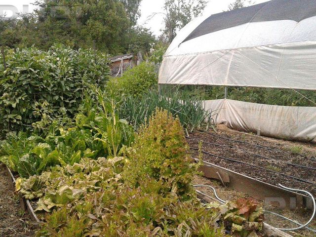 place photo 51