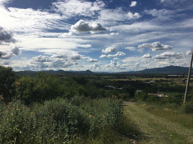place photo 21